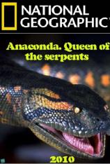 国家地理-野生巡礼:巨蛇之秘 Nature Untamed: Anaconda - Queen of the Serpents