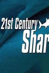 国家地理-21世纪鲨鱼 21st Century Shark