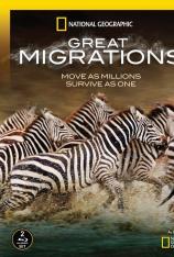 国家地理-大迁徙-繁衍生息 Great Migrations: Need to Breed