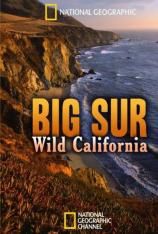 国家地理-加州大索尔海岸 Big Sur Wild California