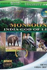 雨季-印度的生命之神 Wild Asia-Monsoon India God of Life
