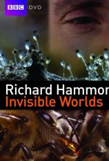 BBC 理查德哈蒙德：看不见的世界 BBC Richard Hammond's Invisible Worlds