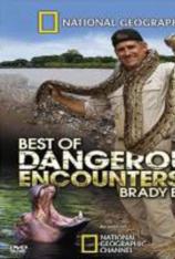 国家地理-动物零距离-穷凶极鳄 Dangerous Encounters-Monster Crocs