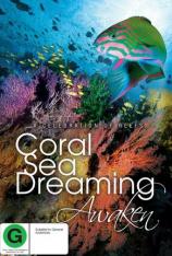 梦幻珊瑚海-唤醒 Coral Sea Dreaming-Awaken