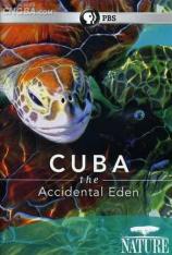 PBS 自然-古巴-意外的伊甸园 PBS Nature-Cuba-The Accidental Eden