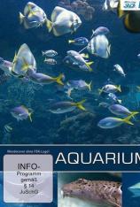 水族馆 Aquarium
