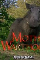 国家地理-勇敢的疣猪妈妈 Mother Warthog