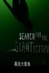 国家地理-寻找大章鱼 Search For The Giant Octopus