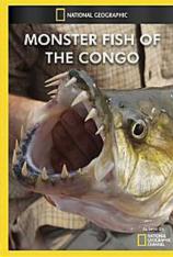 国家地理-刚果神秘大鱼 Monster Fish Of The Congo
