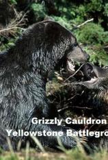 国家地理-灰熊与狼的战争 Grizzly Cauldron