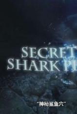 国家地理-神秘鲨鱼穴 Secret Shark Pit