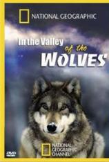 国家地理-群恶狼谷 In the Valley of the Wolves