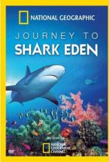国家地理-鲨鱼伊甸园 Shark Eden