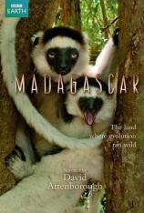 BBC 探索马达加斯加 BBC Madagascar