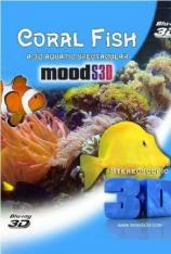 珊瑚鱼 Coral Fish