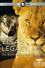 PBS 自然-艾尔莎的遗产-生而自由的故事 PBS Nature-Elsa's Legacy-The Born Free Story