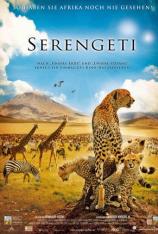塞伦盖蒂 Serengeti