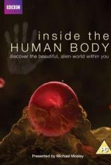 BBC 人体奥秘 BBC Inside the Human Body