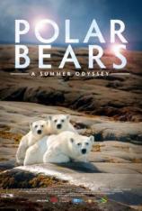 北极熊：一个夏天的奥德赛 Polar Bears： A Summer Odyssey