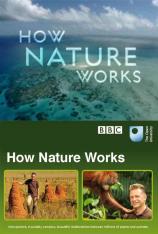 BBC 自然的运作 BBC How Nature Works