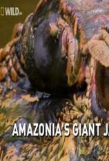 国家地理-亚马逊巨鳄 Wild Amazonas Gigant Jaws