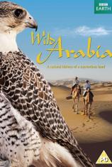 BBC 狂野阿拉伯 BBC Wild Arabia