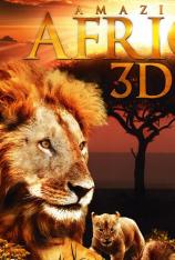 惊人的非洲 Amazing Africa 3D