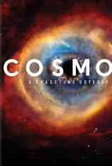 宇宙时空之旅 Cosmos: A SpaceTime Odyssey