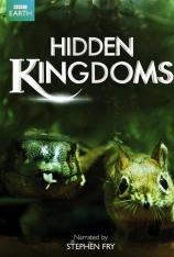 BBC 隐藏的王国 BBC Earth - Hidden Kingdoms