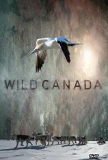野性加拿大 Wild Canada