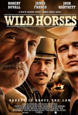 野马 Wild Horses