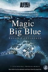 奇幻蔚蓝海 Magic of the Big Blue