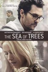 青木原树海 The Sea of Trees