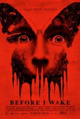 梦醒之前/在我醒来之前 Before I Wake