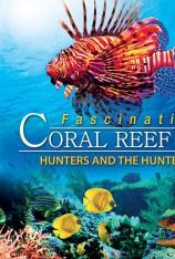 魅力珊瑚礁：猎人与猎物 Fascination Coral Reef 3D: Hunters & The Hunted