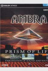 安桥-杜比全景声音乐演示碟 Ambra: Prism Of Life (Onkyo)