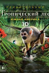 热带雨林探秘 Fascination Rainforest 3D